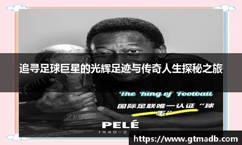 南宫NG·28