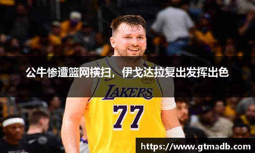 南宫NG·28