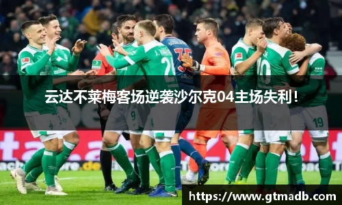 南宫NG·28